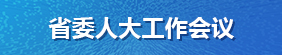 省委人大工作会议