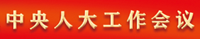 中央人大工作会议