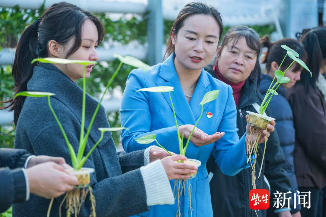 1772018175198fcapp_c6a6d140-7671-4ddc-a492-e636e359da2e_1771999918500coverWaterMark (1)