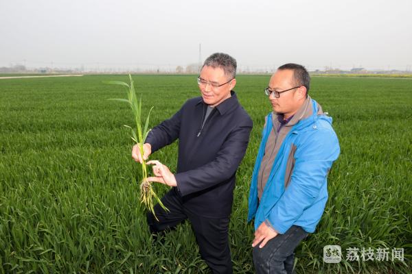 【人大代表在身边】代表委员回基层 全国人大代表高德荣：扎根泥土，让“中国饭碗”端得更稳更牢